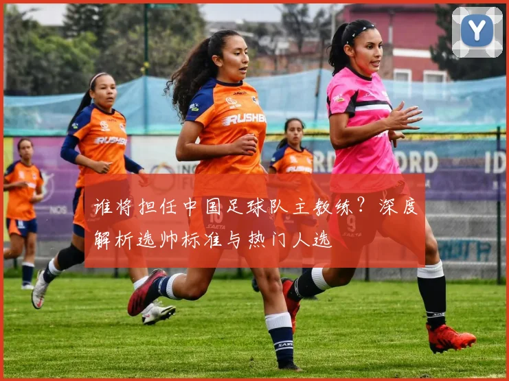 谁将担任中国足球队主教练？深度解析选帅标准与热门人选